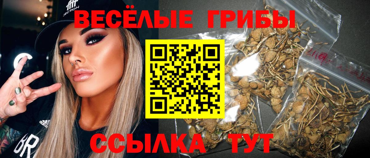 Галлюциногенные грибы мухоморы Ноябрьск