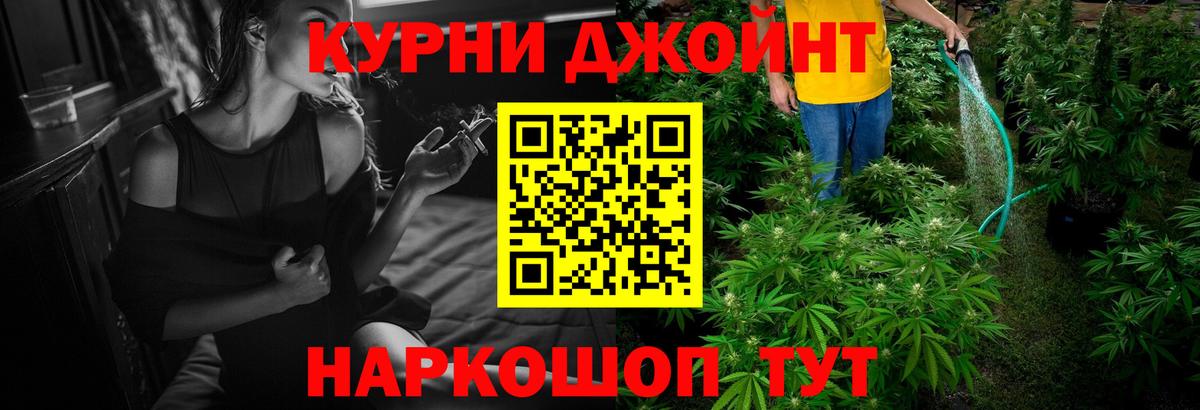Канабис гибрид Ноябрьск